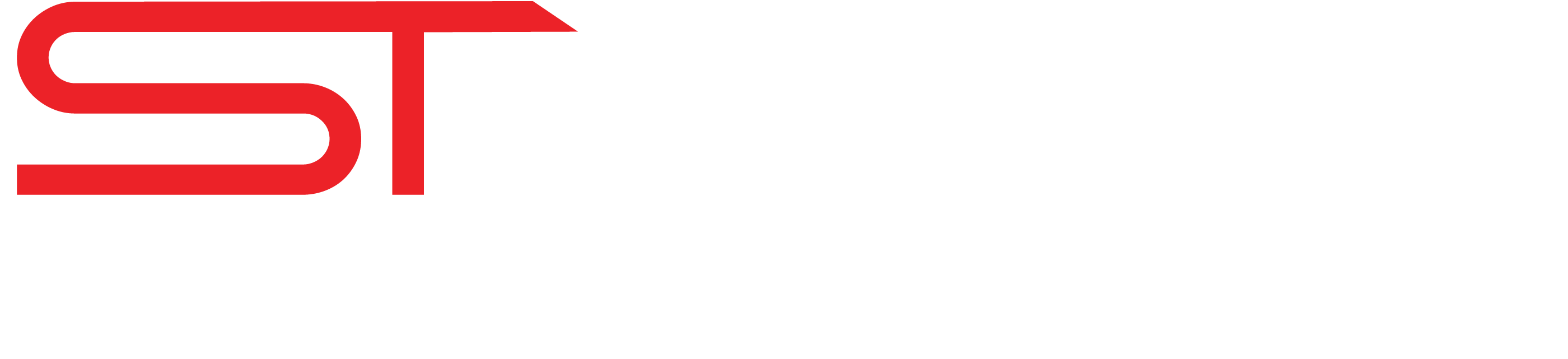 STYNS.IT logo